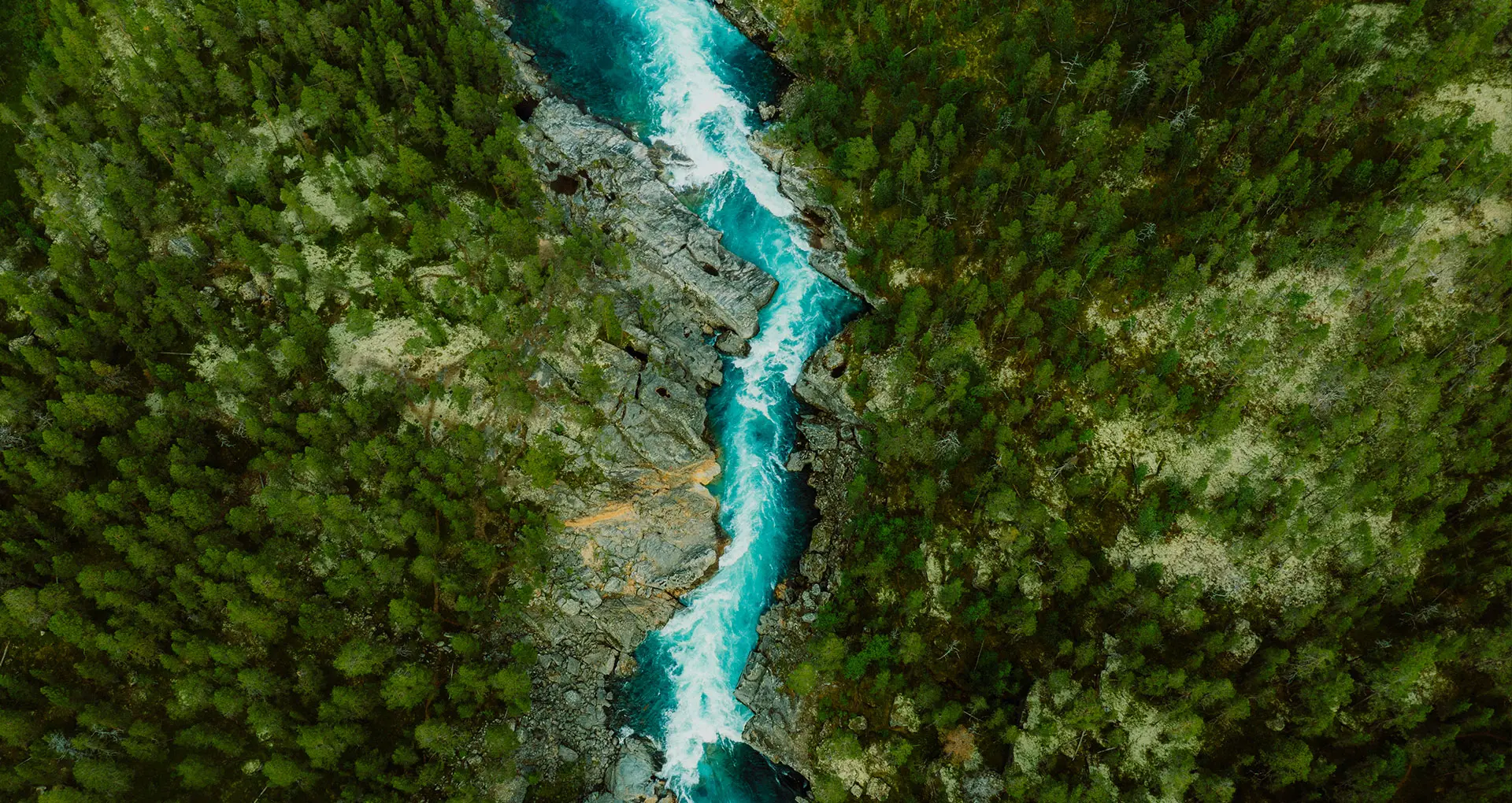 三聖トラスト会計事務所