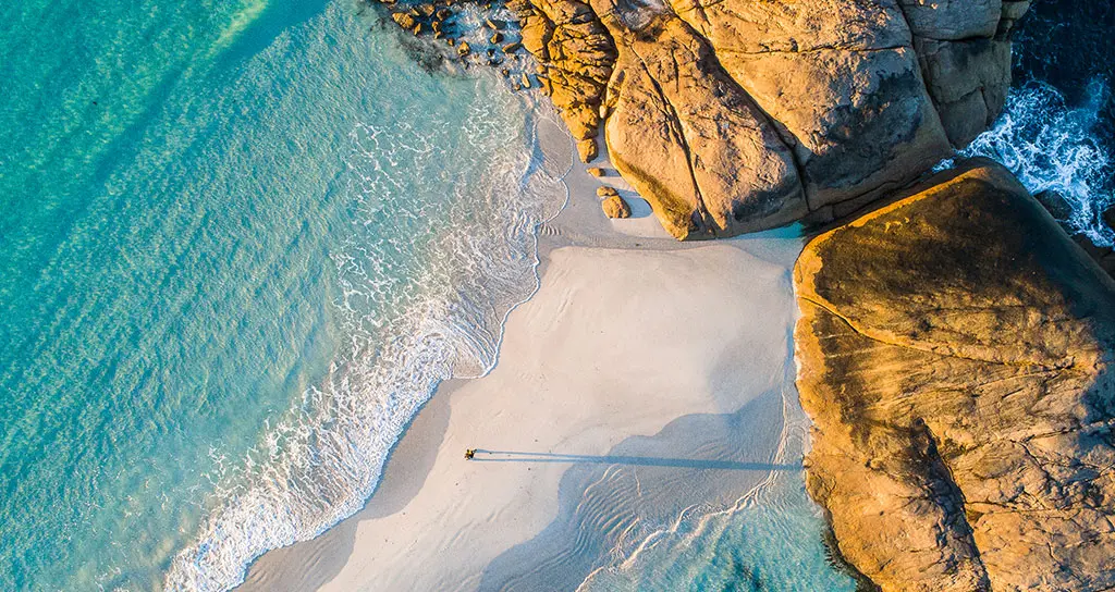 Payroll & Tax Services