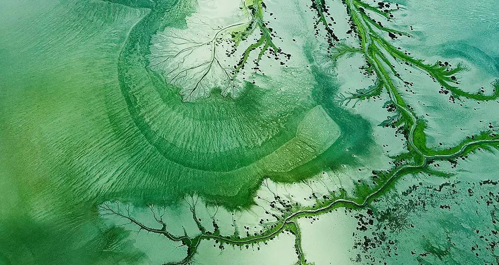 Social & Labor Insurance